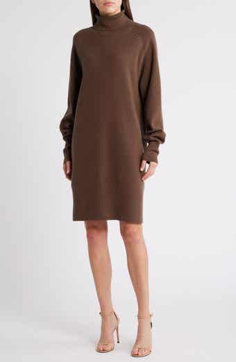 Felindane Turtleneck Long Sleeve Wool & Cashmere Sweater Dress