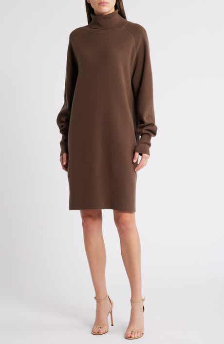 Felindane Turtleneck Long Sleeve Wool & Cashmere Sweater Dress