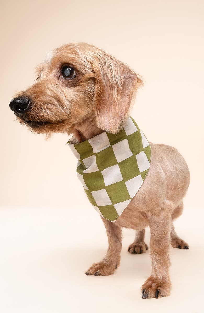The Paws Checkmate Dog Bandana, Alternate, color, Green