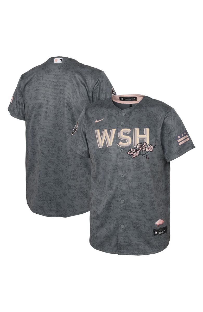 Nike Preschool Nike Gray Washington Nationals City Connect Replica Jersey, Main, color,