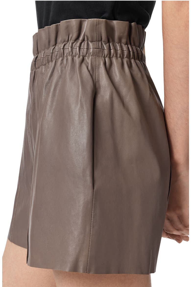 Fran Leather Shorts, Alternate, color, MOLE BROWN