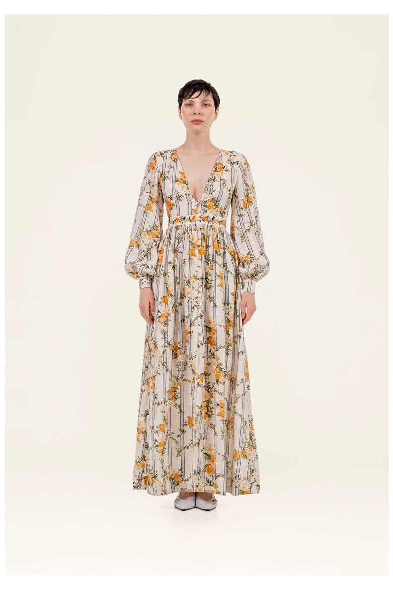 Frambuesa Valle Maxi Dress, Alternate, color, Multicolor