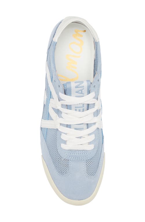 Shop Sam Edelman Irma Low Top Sneaker In Blue Breeze/sugar