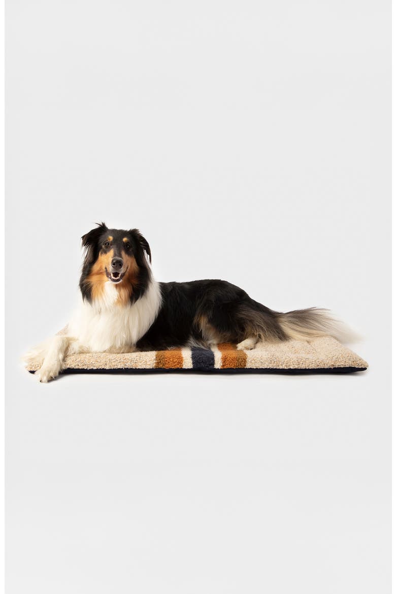 Comfort Cushion Pet Bed, Alternate, color, OATMEAL