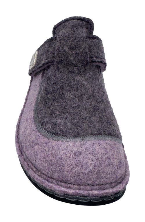 FINN COMFORT FINN COMFORT ANTHOLZ WOOL CLOG