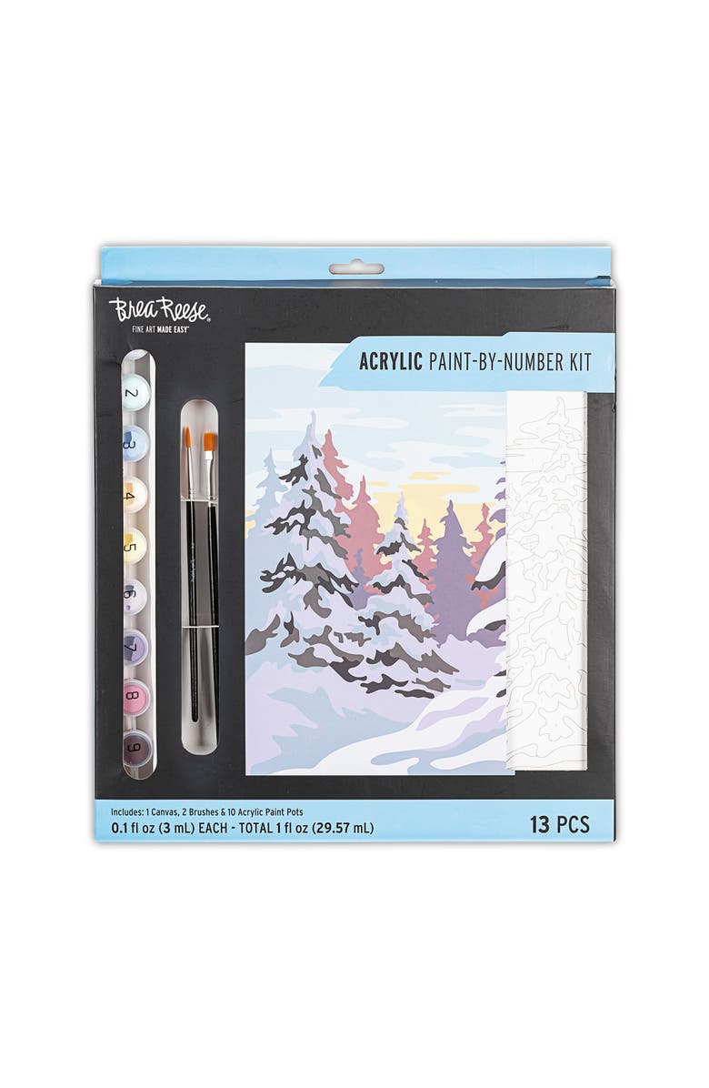 Brea Reese Acrylic Paintbynumber Kit Winter Wonderland, Main, color, Multicolored