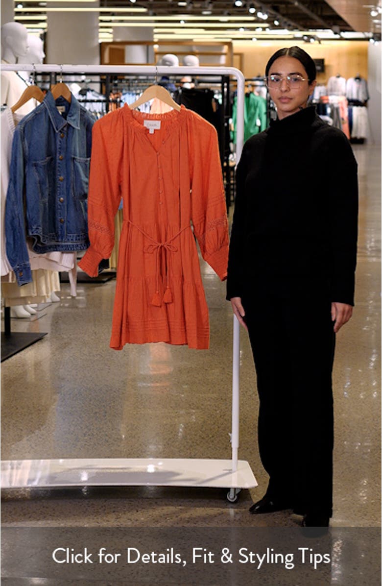 Meadow Long Sleeve Organic Cotton Dobby Dress, sales video thumbnail