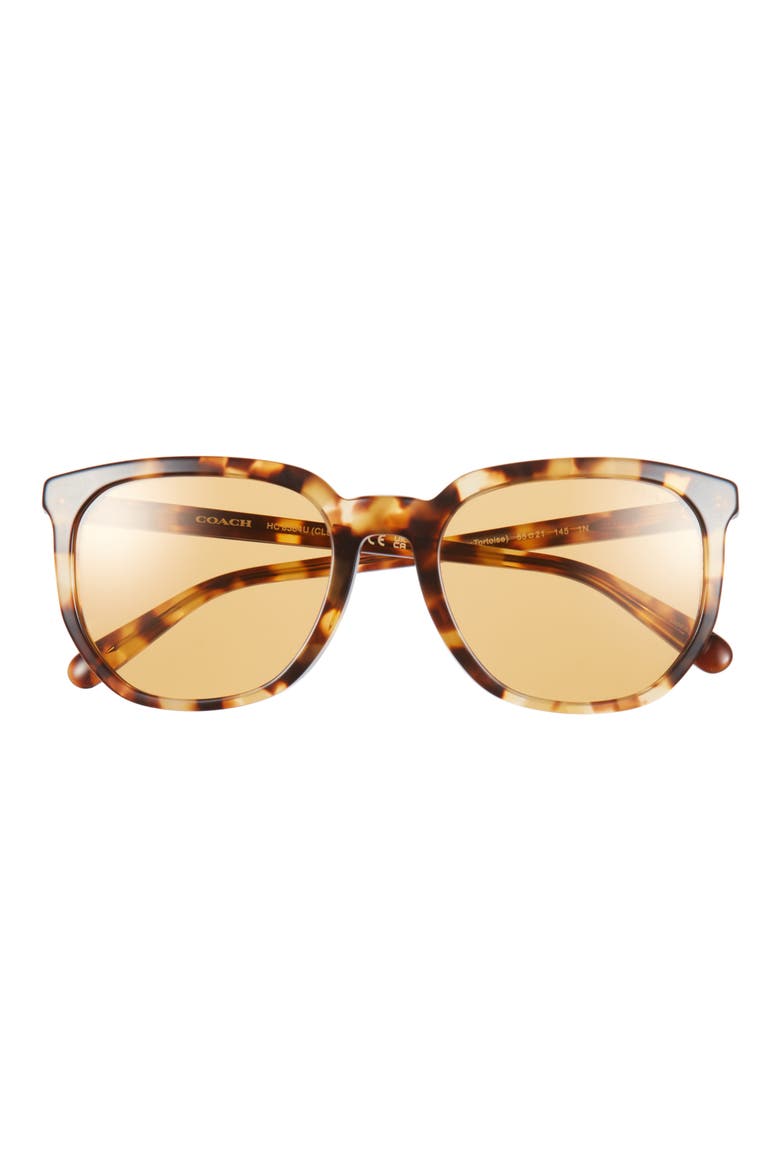 55mm Round Sunglasses, Main, color, HONEY HORN