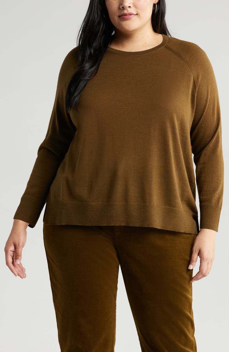 Eileen Fisher Raglan Sleeve Merino Wool Jersey Sweater, Alternate, color, 