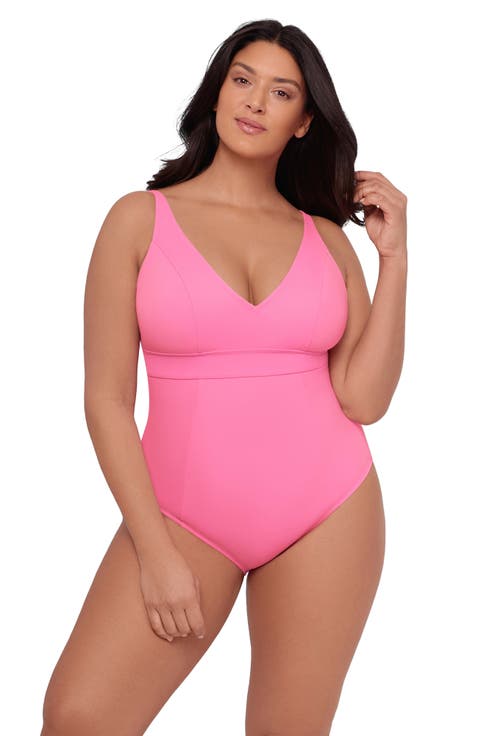 Banded Plunge V-Neck One Piece Swimsuit