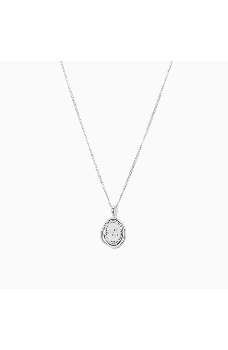 Bearfruit Jewelry 14k Gold Plated Seal Constellation Necklace 12 Zodiac Signs Holiday Gift Guide, Alternate, color, Silver