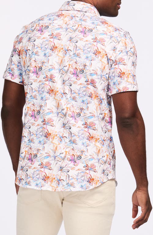 Shop Robert Graham Short Sleeve Stretch Cotton Button-up Shirt In White