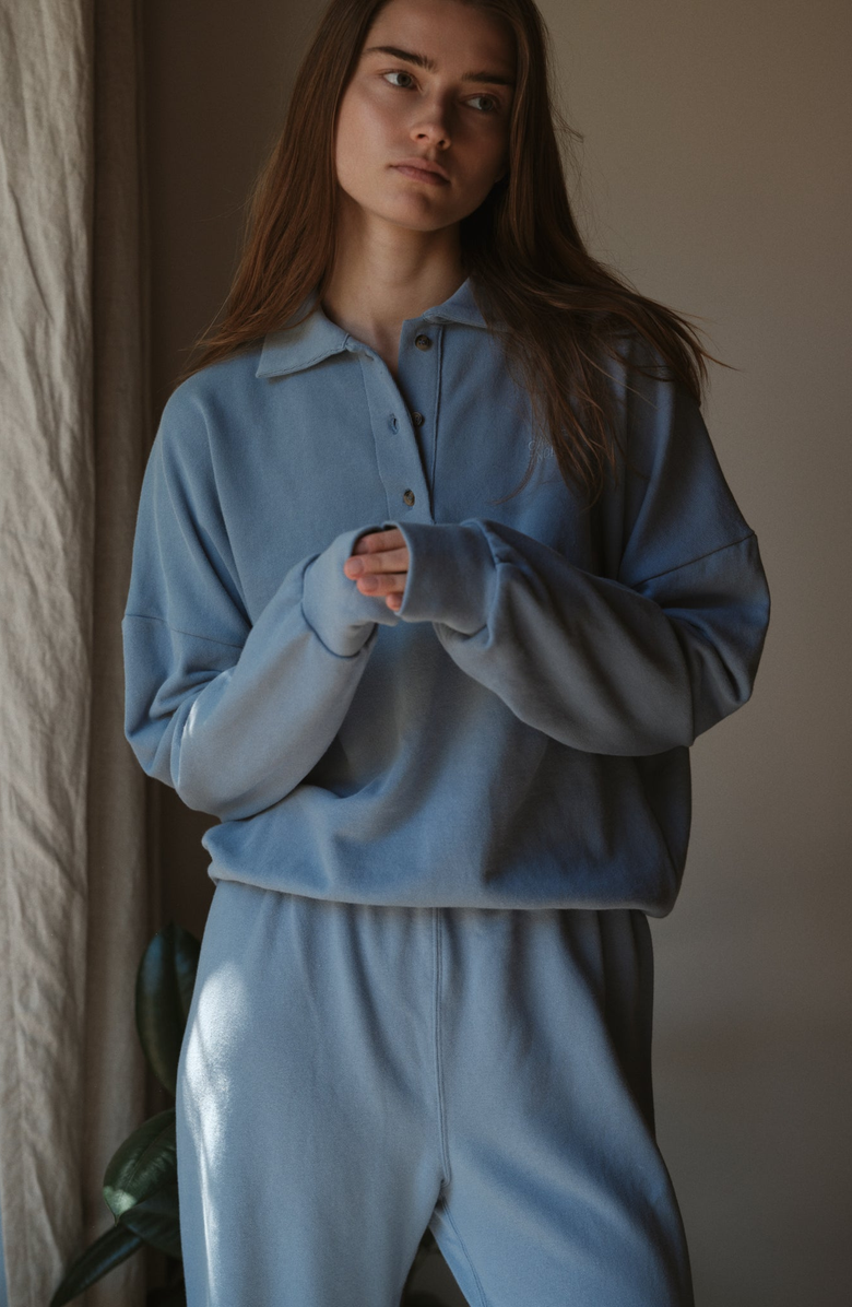 CALIFORNIA INCLINE Long Sleeve Polo, Alternate, color, Heritage Blue