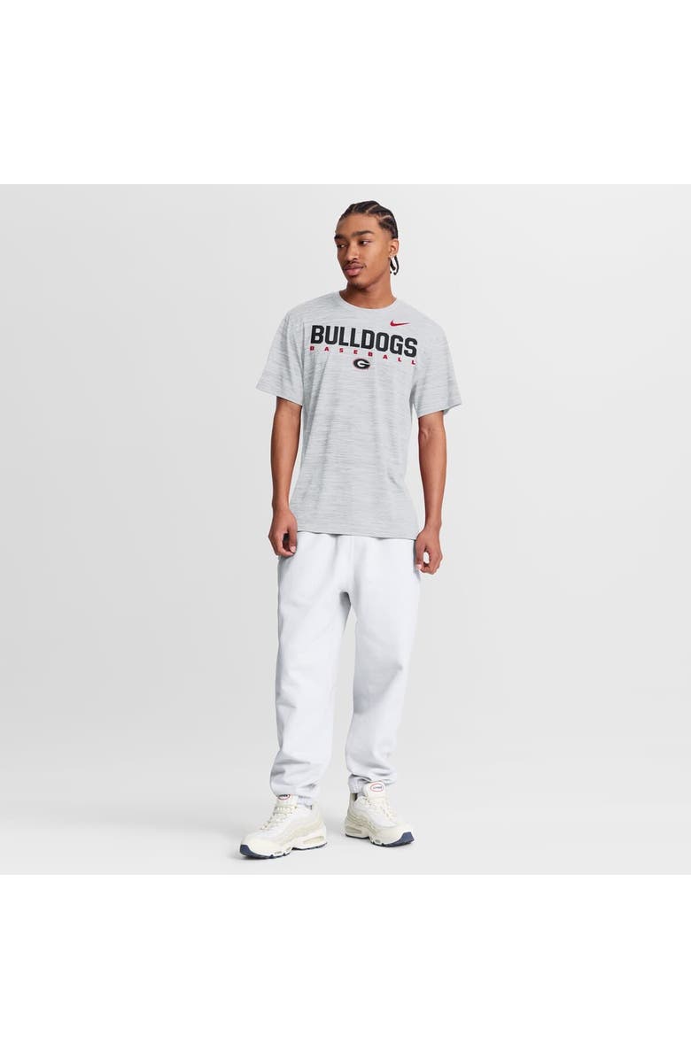 Nike Men's Nike White Georgia Bulldogs Dugout Velocity Dri-FIT T-Shirt, Alternate, color, White
