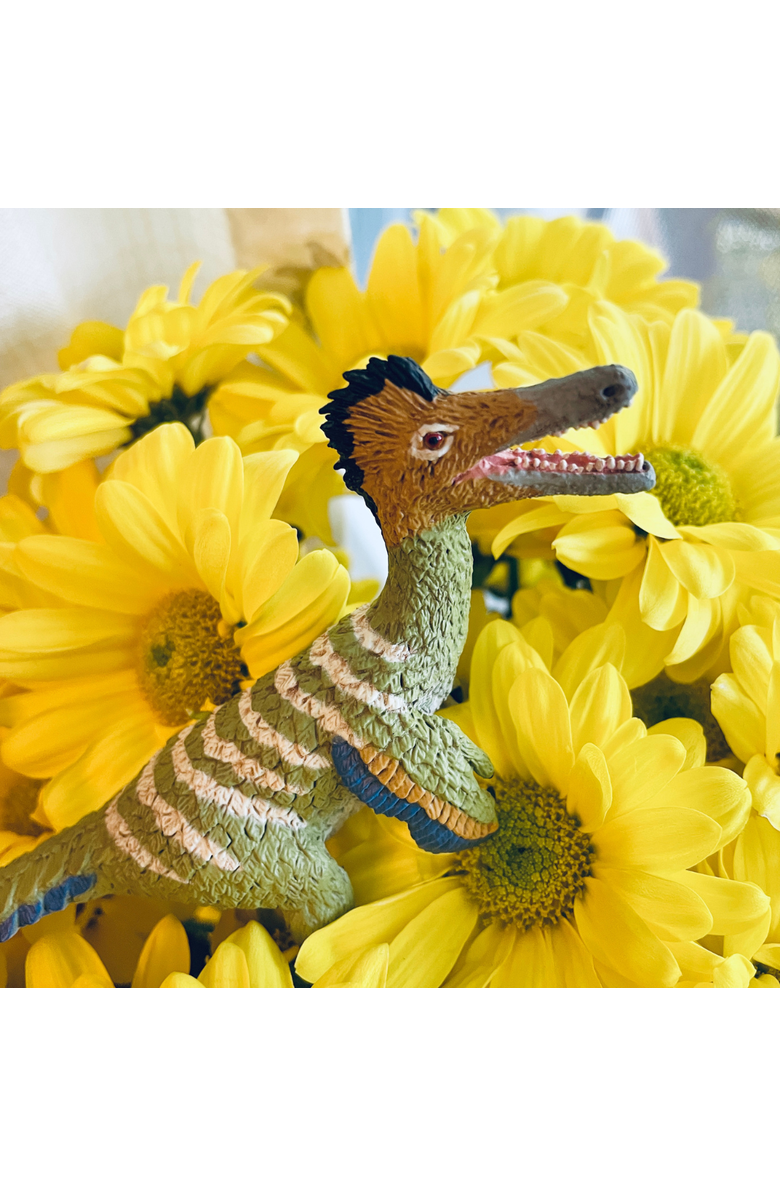 Safari Ltd. Austroraptor Toy, Alternate, color, NO COLOR