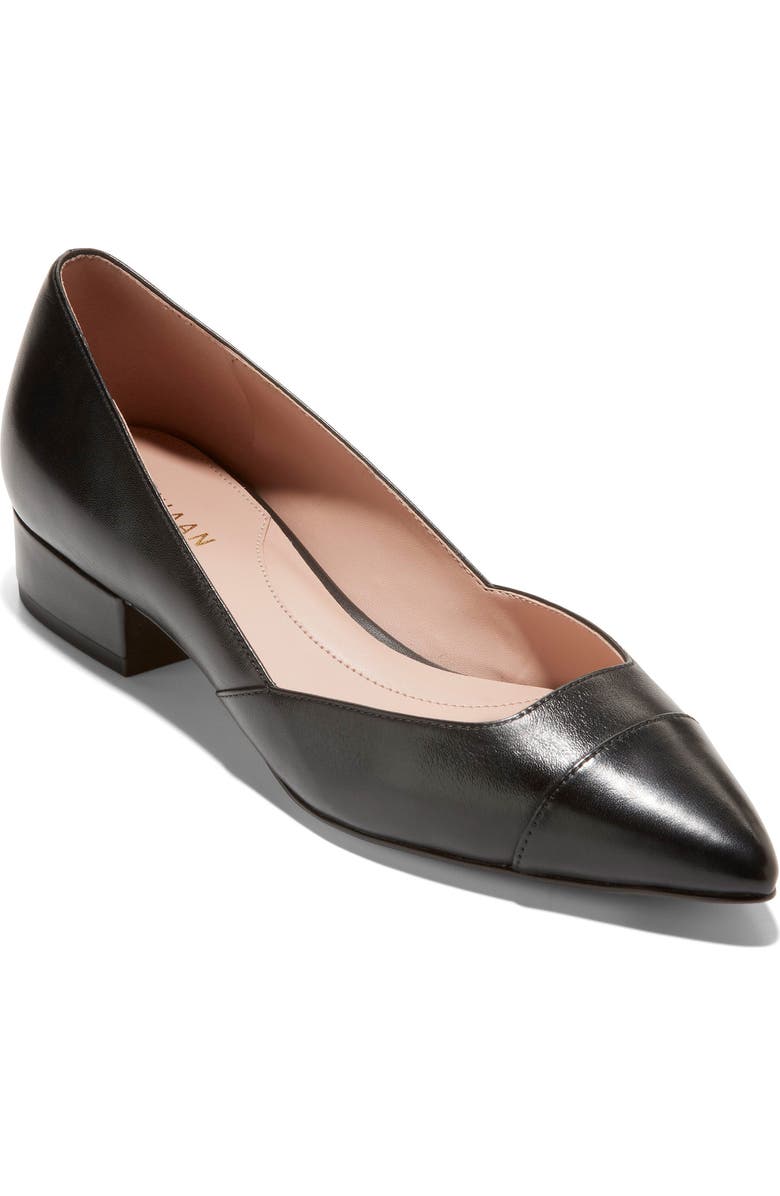 Cole Haan Vanessa Pointed Toe Skimmer, Main, color,