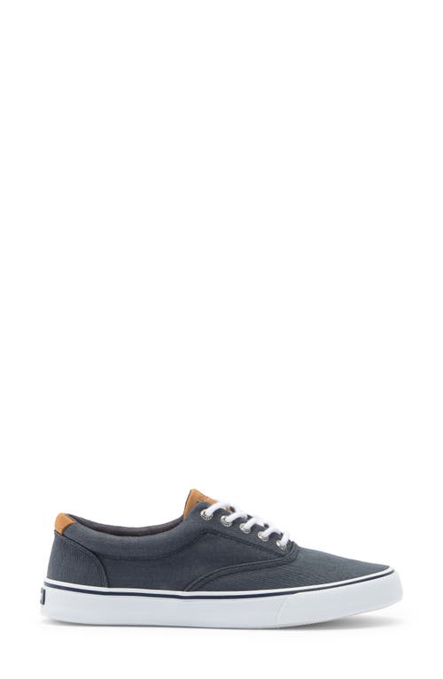 Sperry Striper Ii Cvo Sneaker In Black