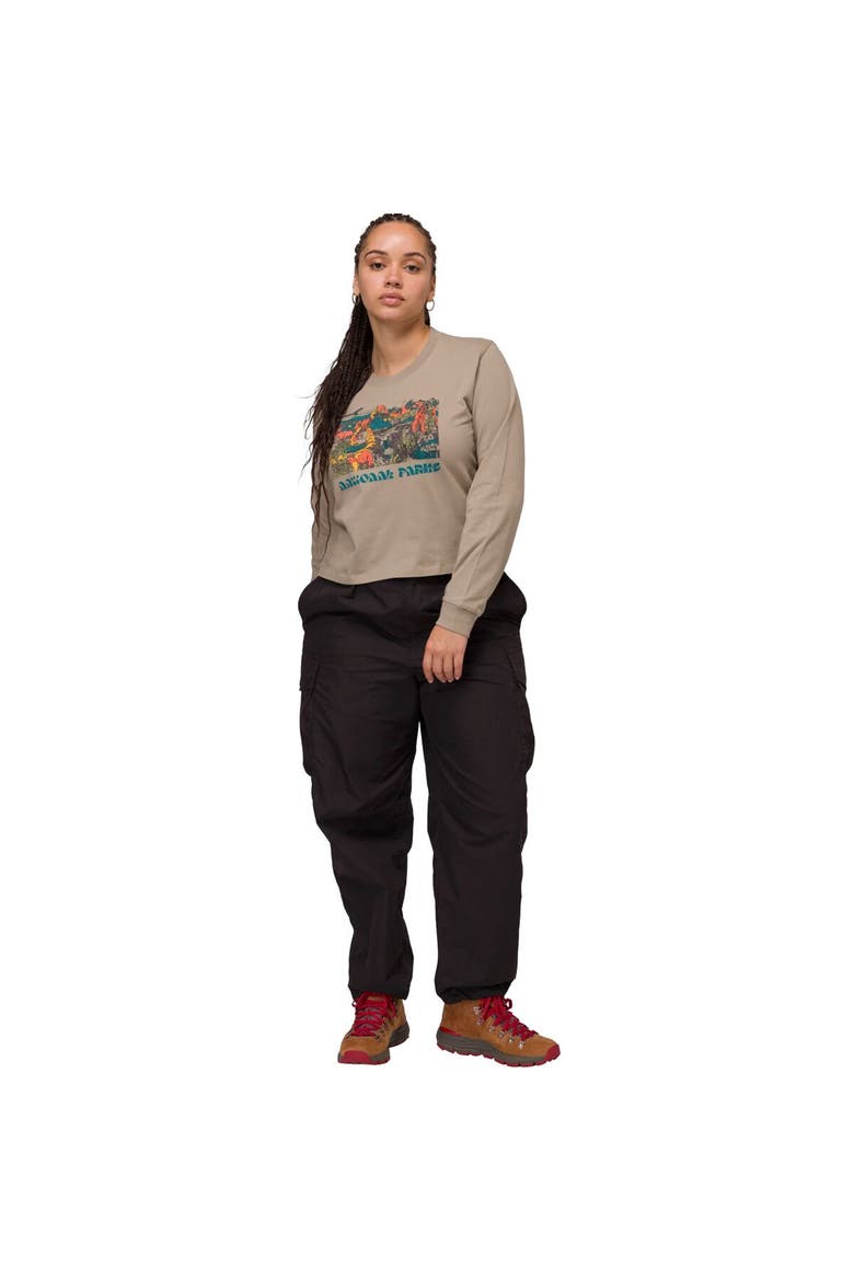 National Parks Collage Boxy Long-Sleeve T-Shirt - Women's, Alternate, color, Mushroom Grey