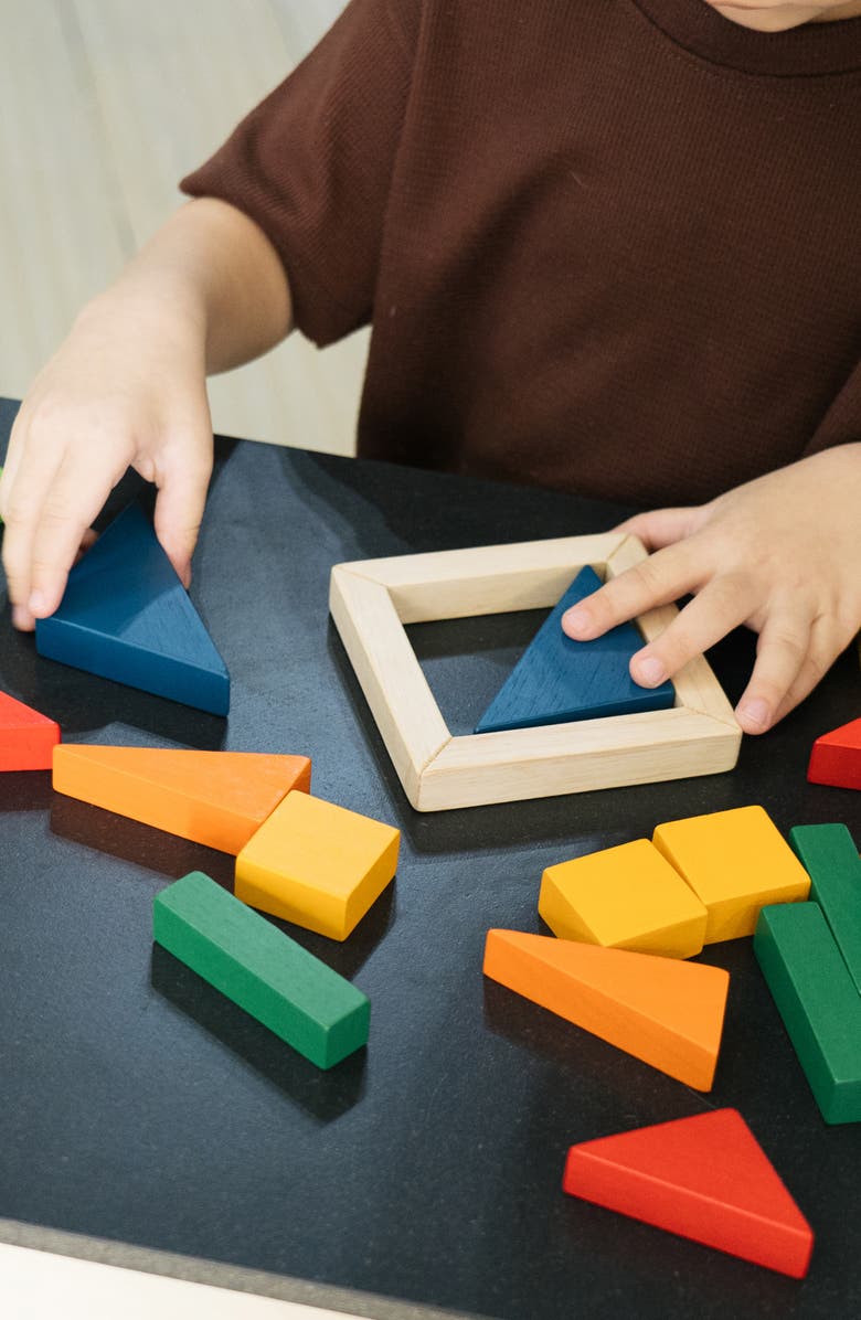 PlanToys<sup>®</sup> Fraction Block Playset, Alternate, color, Assorted