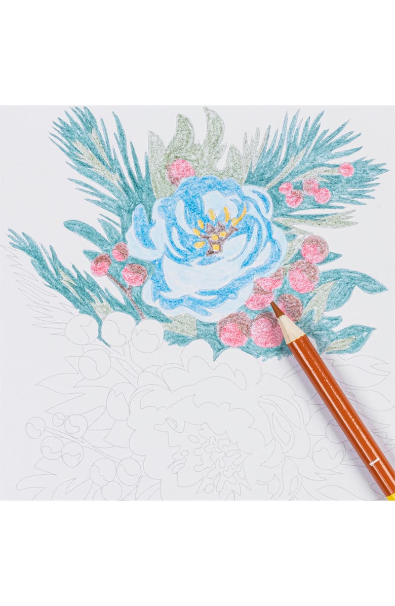 Brea Reese Colored Pencil Color by number Holiday Botanicals, Alternate, color,