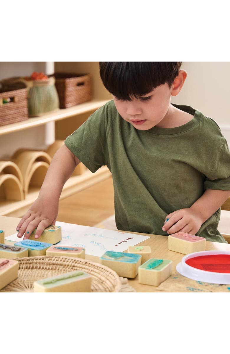 Kaplan Early Learning Company Branches and Leaves Stamps - Set of 18, Alternate, color, Multicolored