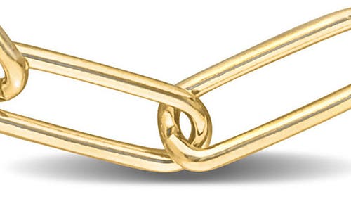 Delmar Textured Paper Clip Chain Necklace In Gold