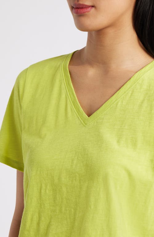 Eileen Fisher Easy V-neck Organic Cotton T-shirt In Chartreuse