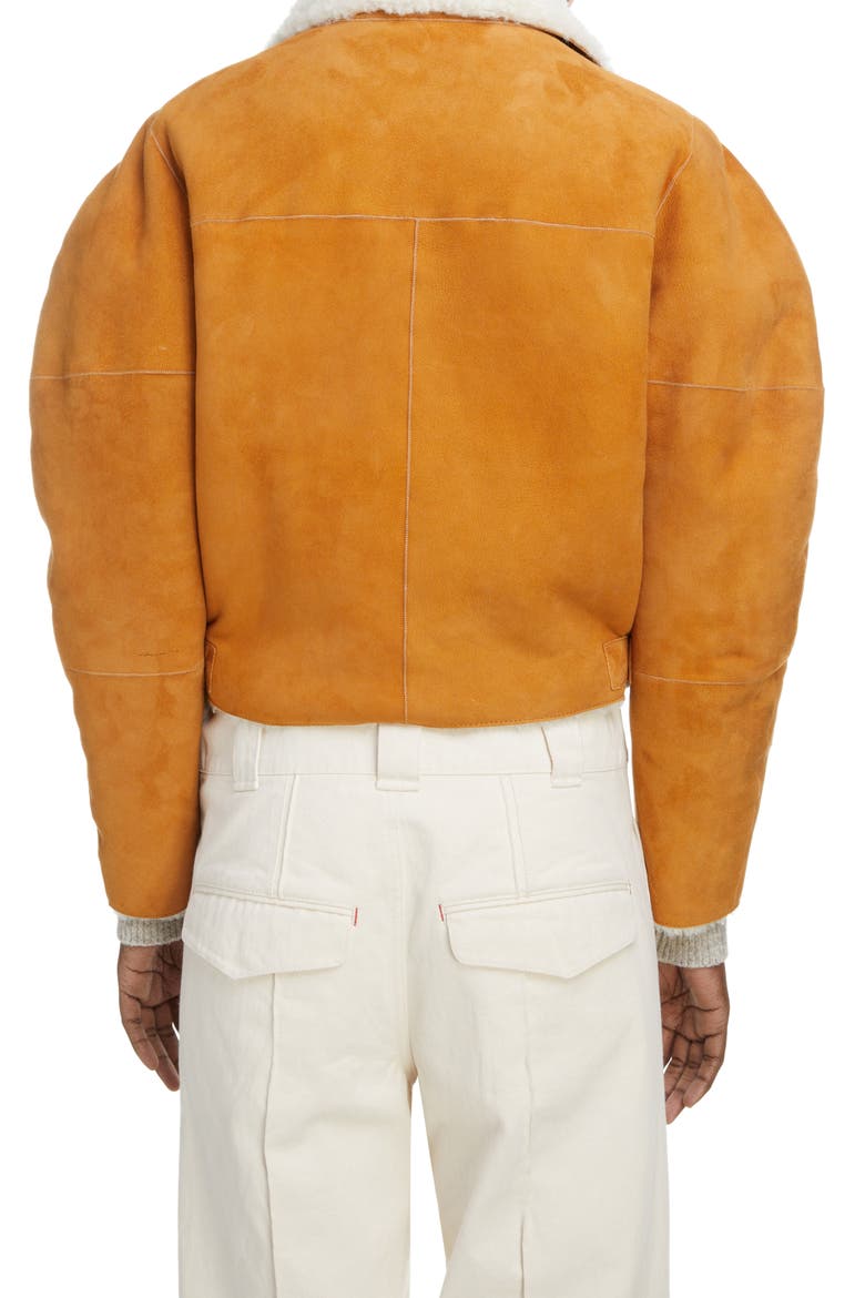 Acacina Crop Genuine Shearling Lined Suede Jacket, Alternate, color, CAMEL