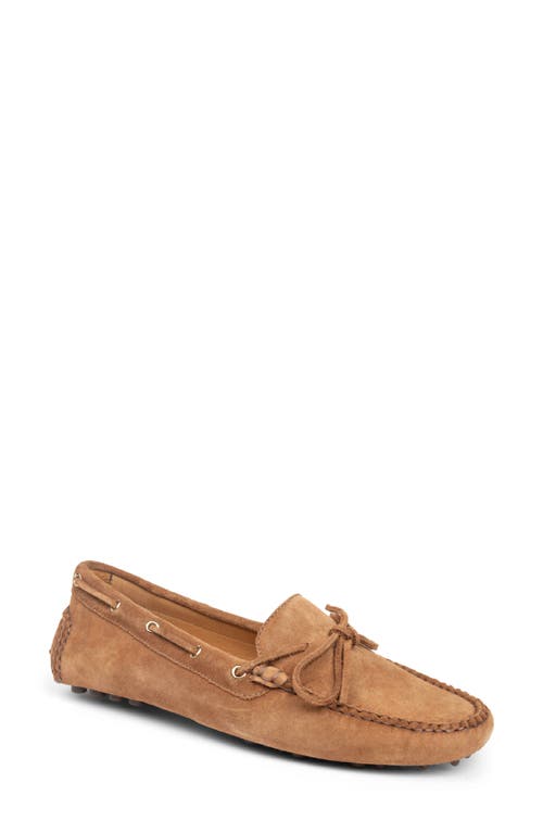 Patricia Green Henley Boat Shoe In Brown