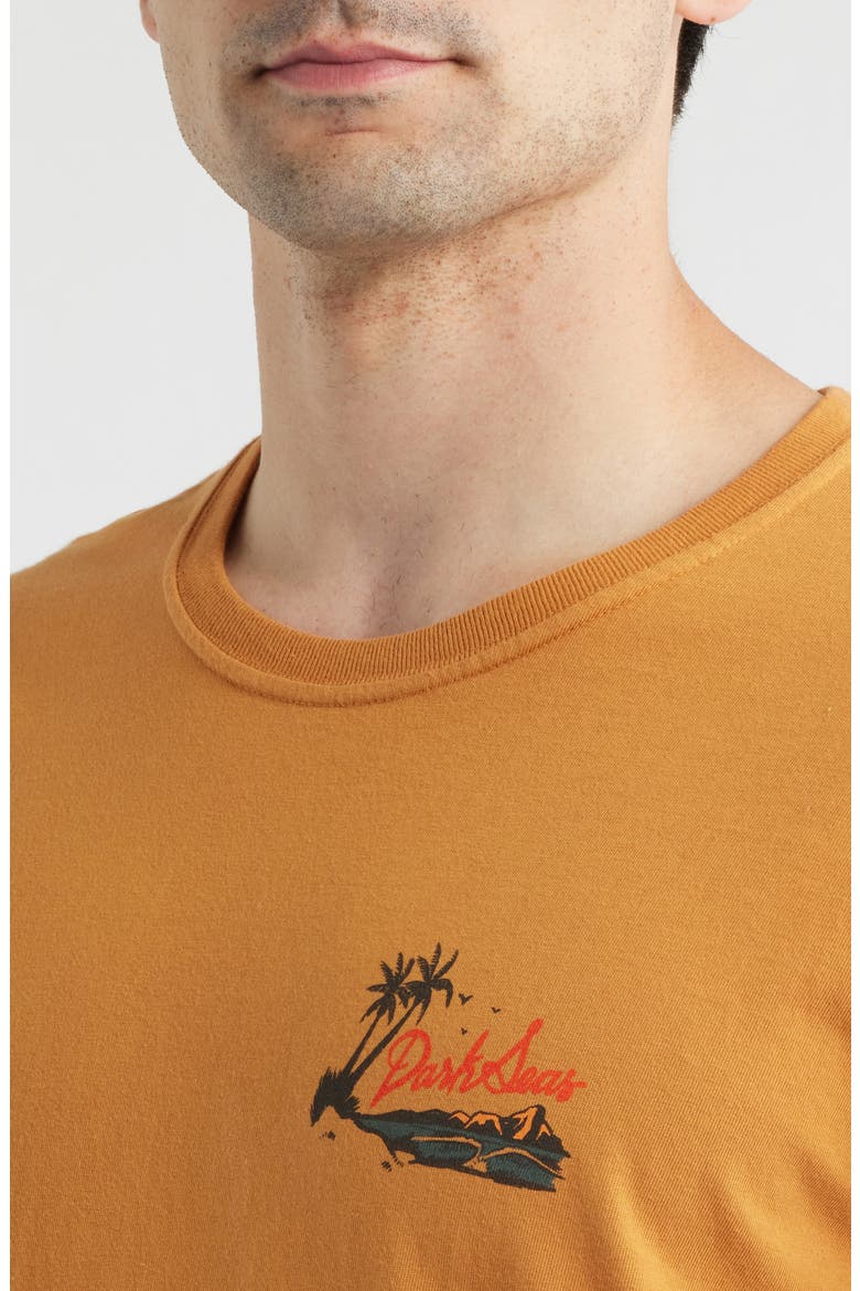 Ransack Cotton Graphic T-Shirt, Alternate, color, HONEY GINGER