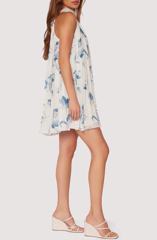 Lost + Wander Carolina Garden Pleated Trapese Minidress In Off-white-blue