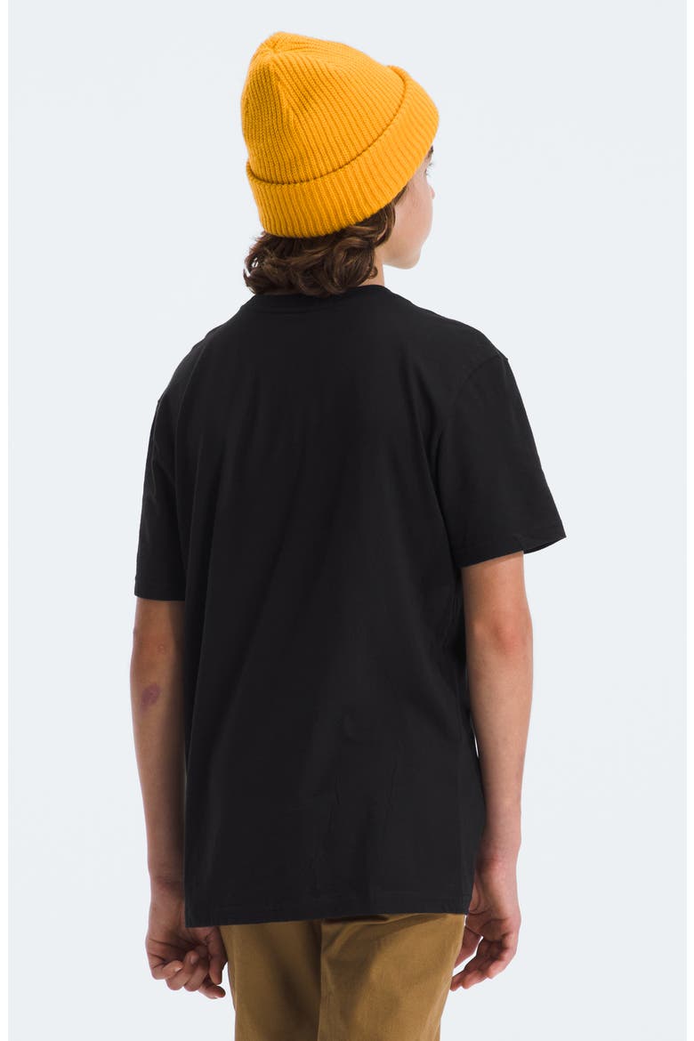 Kids' Adventure Cotton Graphic T-Shirt, Alternate, color, THE NORTH FACE BLACK