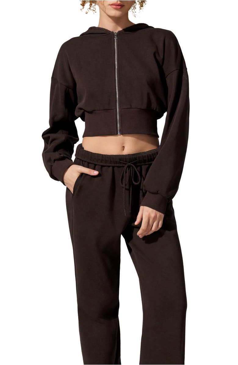 Lilysilk SILKERRY Cropped Fit Seamflow Drift Full-Zip Front Closure Sweatshirt, Main, color, Espresso