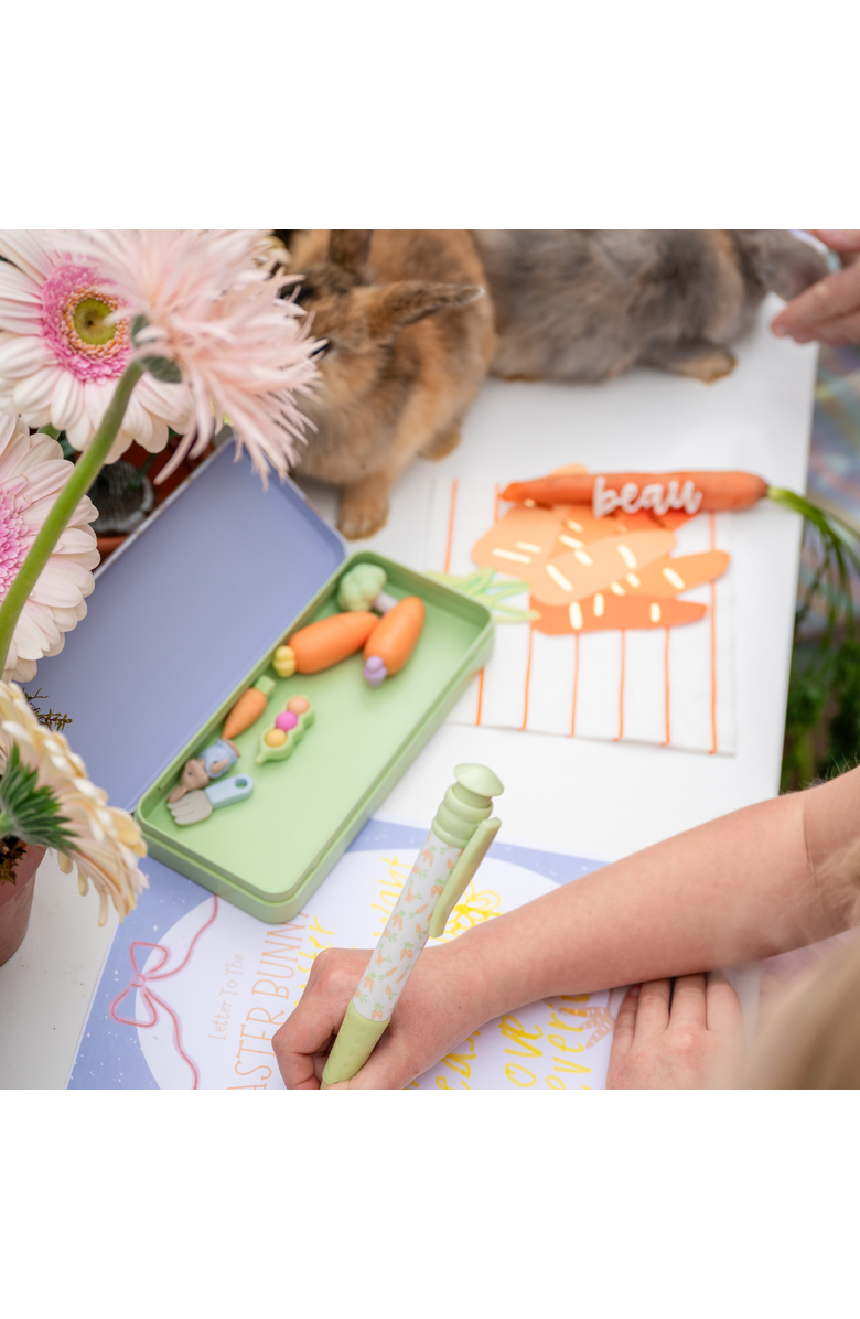 Daydream Society Bunnies In The Garden  Pencil Case, Alternate, color, Assorted Pre-Pack