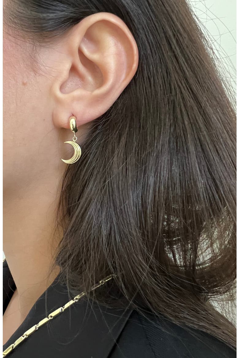 Apollo Huggie Hoop Earrings, Alternate, color, 18K GOLD VERMEIL