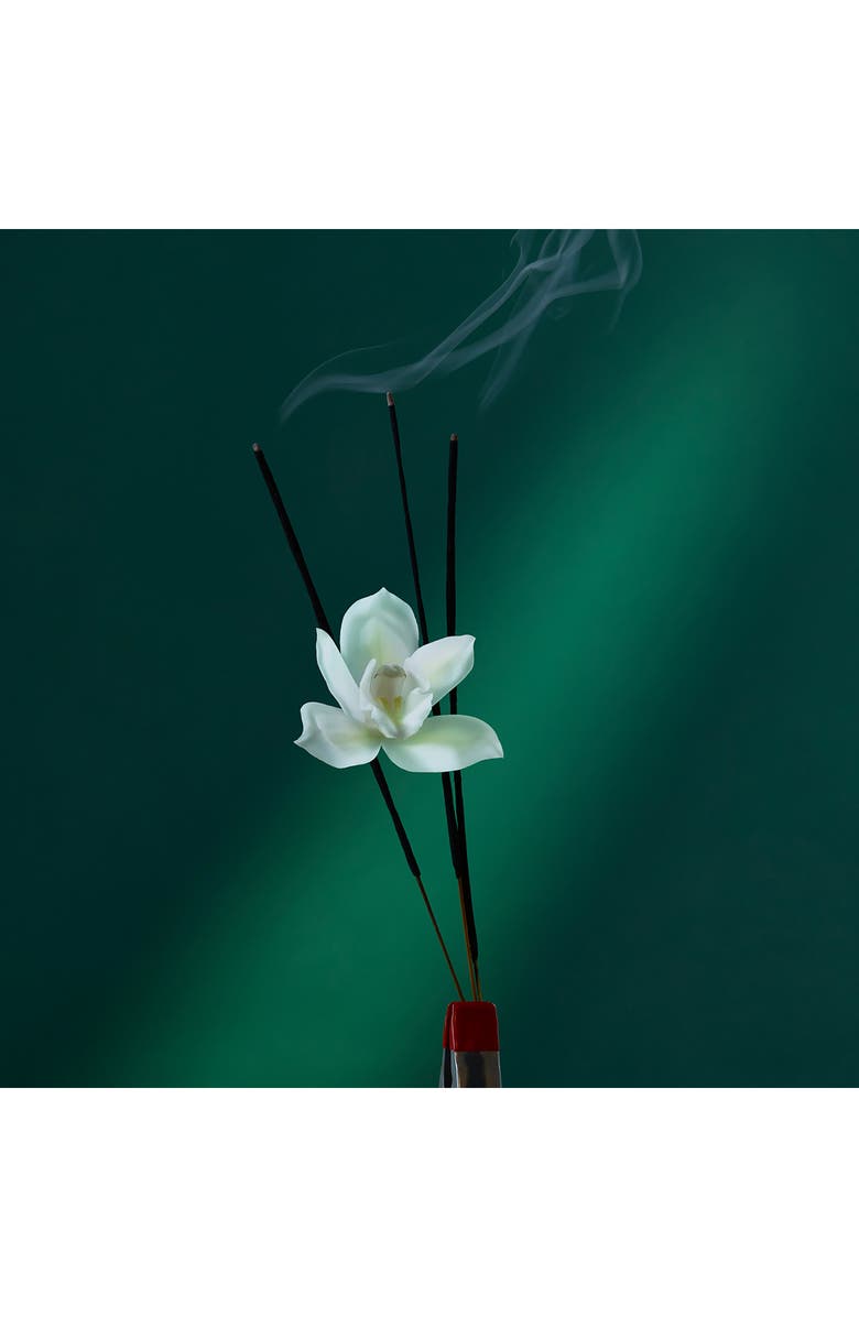 Penhaligon's Eau the Audacity Eau de Parfum, Alternate, color,