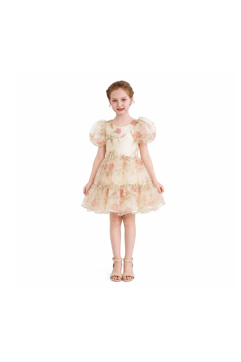 Elanora Floral Organza Dress, Alternate, color, Cream