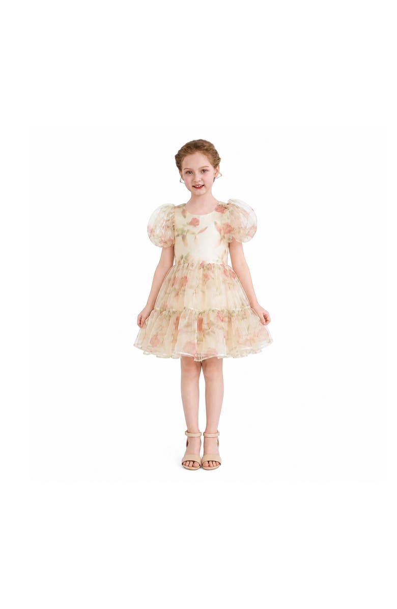 Tulleen Elanora Floral Organza Dress, Alternate, color, Cream