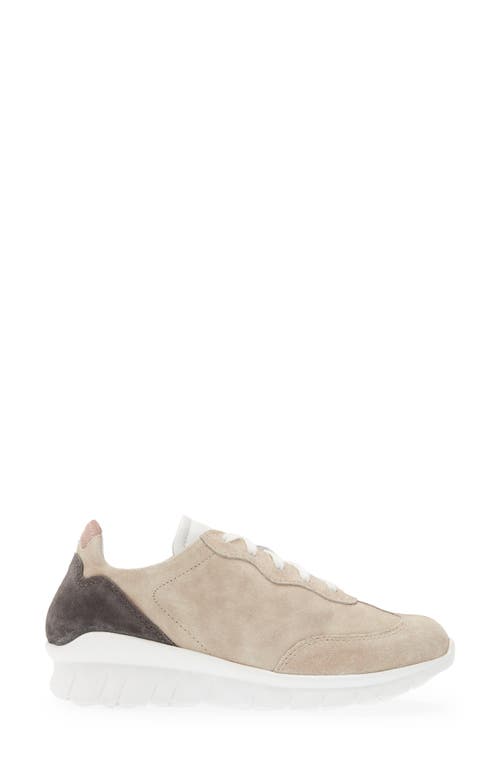 Naot Infinity Colorblock Sneaker In Sand Stone Suede