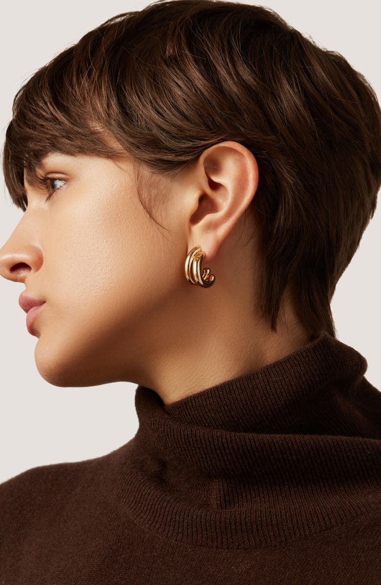 Jenny Bird Florence Double Hoop Earrings, Alternate, color, High Polish Gold