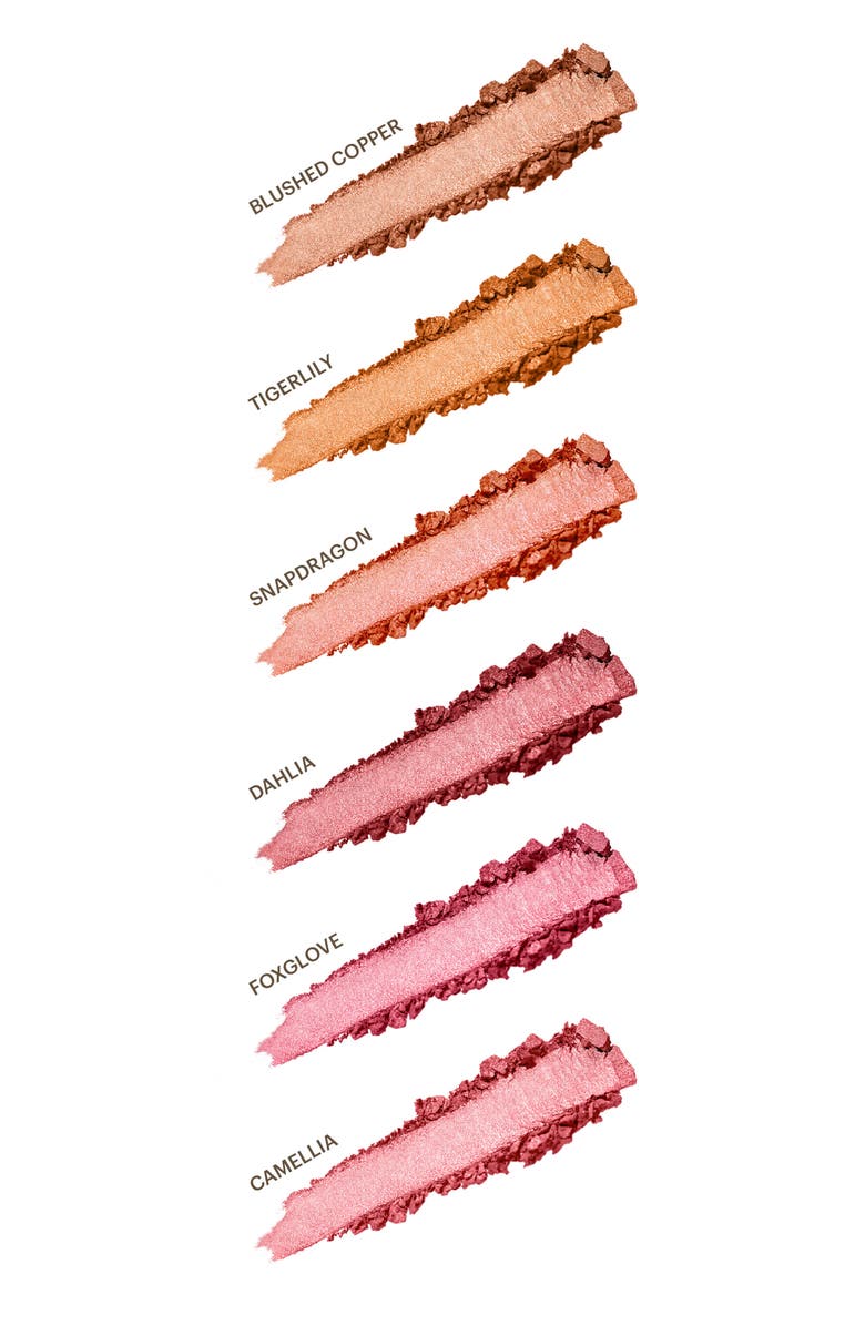 BECCA Cosmetics BECCA Luminous Blush, Alternate, color,