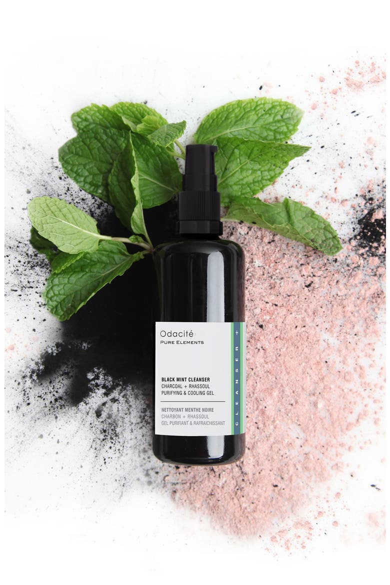 Black Mint Cleanser, Alternate, color, NO COLOR