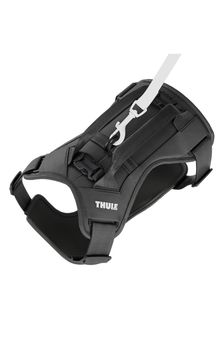Thule Cappy Dog Harness, Alternate, color, Black