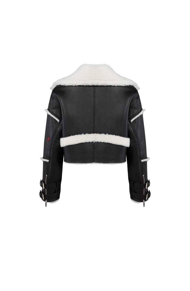 PCFG Your *Itch Furry Leather Jacket, Alternate, color, Black