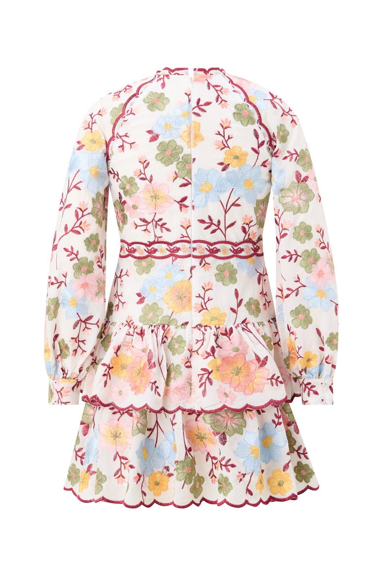 Penelope Cotton Embroidered Mini Dress, Alternate, color, Floral
