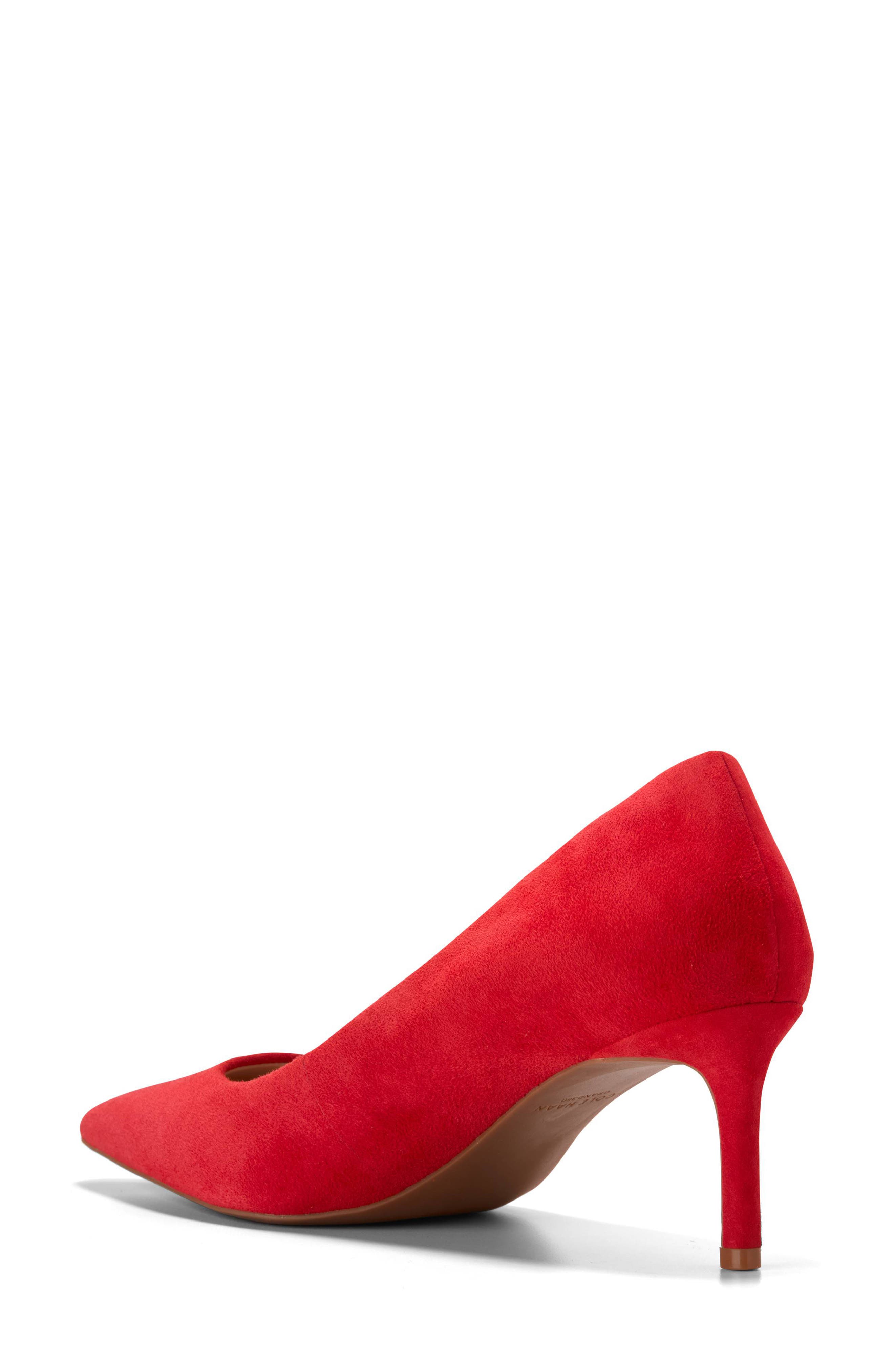 The Go-To Janey Pointed Toe Pump, Alternate, color, SALSA SUEDE