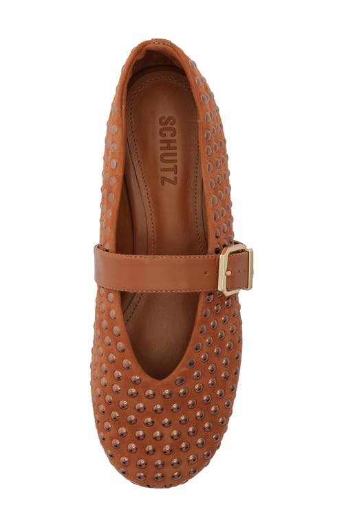 Schutz Eiza Shine Studded Suede Buckle Flats In Brown