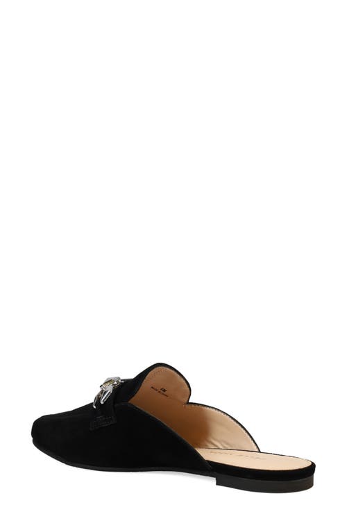Pelle Moda Haeli Bit Loafer Mule
