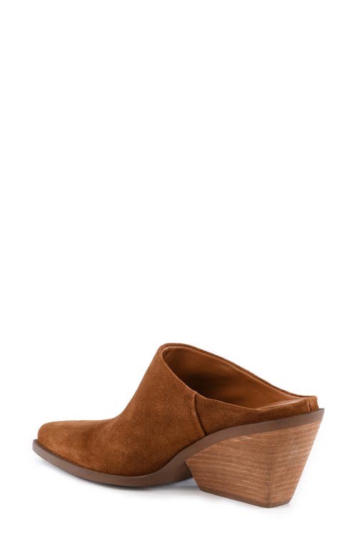Seychelles Morning Joe Mule In Brown