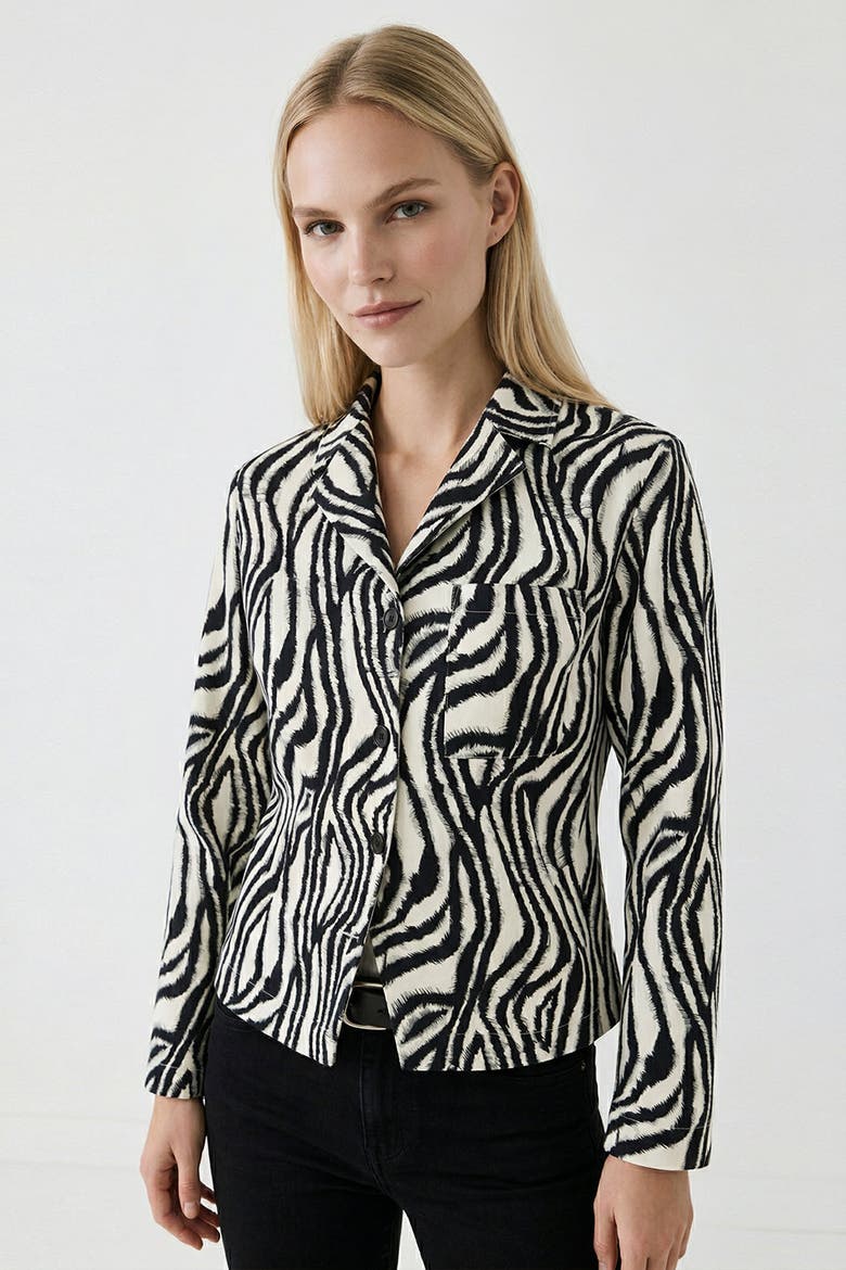 Adelaide Zebra Print Long Sleeve Shirt, Main, color, MULTI COLOR